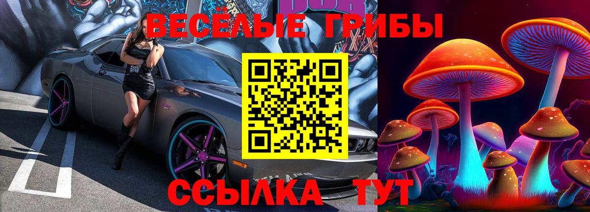Мытищи  Галлюциногенные грибы MAGIC MUSHROOMS  Вход с VPN  Псилоцибиновые грибы мухоморы 